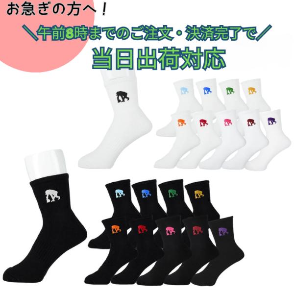 ★午前8時までのご注文で当日出荷★エゴザル ワンポイントソックス A-EZAC8801・8802