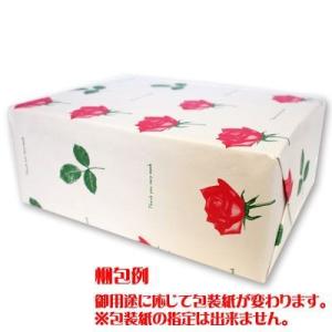 缶入り カンパン100g 12入1BOX 「ギ...の詳細画像1