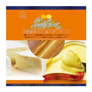 天然酵母パン 塩バターチーズ  12個×10ケース デイプラス｜mizota