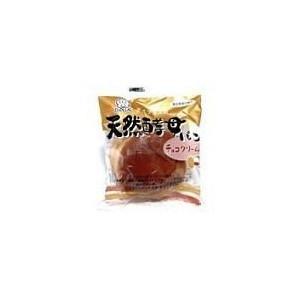 天然酵母パン チョコクリーム 12個×10ケース デイプラス｜mizota