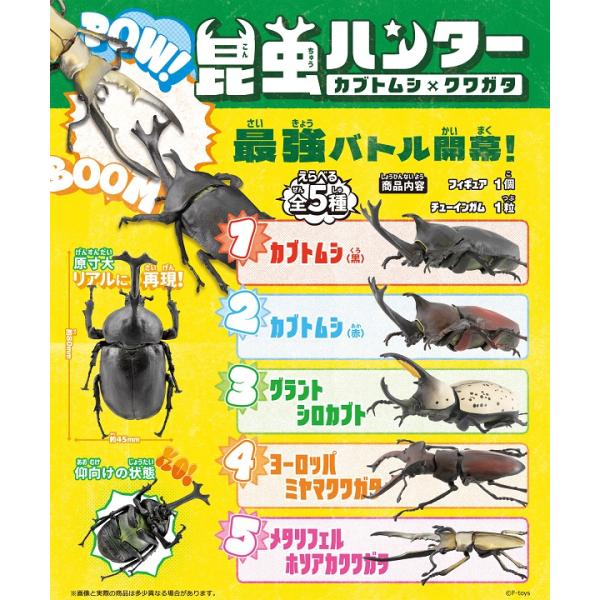 昆虫ハンター2024 10個入り１BOX  エフトイズ 2024年6月10日発売予定 代引・振込・キ...