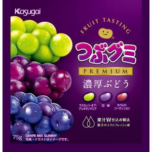 つぶグミPREMIUM濃厚ぶどう75gx10個セット/お菓子 グミ : V