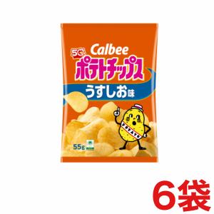 カルビー 堅あげポテト BIG うすしお味 132g×12袋入り×1箱 : みぞた