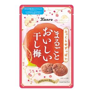 カンロ まるごとおいしい干し梅 19g×1袋