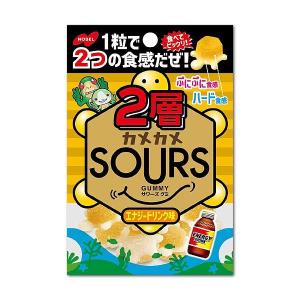 ２層カメカメSOURS（サワーズ）エナジードリンク 45g×6袋　サワーズ　ノーベル製菓｜mizota