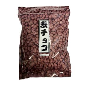 寺沢製菓 柿の種チョコ 240g×12袋 夏季クール便配送（別途500円
