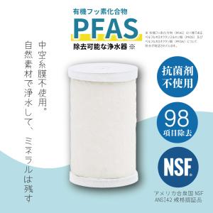 水生活製作所 公式 浄水器 カートリッジ フィルター 磨水IV PFAS PFOS PFOA 98項目有害物質 除去 活性炭 NSF認証 高性能 日本製｜mizsei