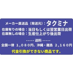 タクミナ ケミカルタンク PVC角型鉄枠なし ...の詳細画像1