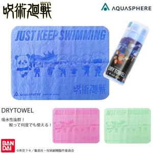 セームタオル／吸水 AQUASPHERE（アクアスフィア） [NKPS_NO]