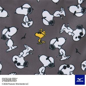 メンズボックス 競泳練習用水着 mizuno ...の詳細画像3