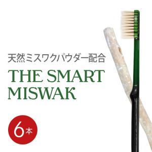 歯ブラシ The Smart Miswak 大人用 x 6本セット 歯垢 除去 歯みがき 歯磨き はぶらし 歯 ハブラシ 日本製 歯ブラシセット アウトドア プレゼント ギフト｜mizuha-oralcare