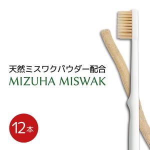 歯ブラシ Mizuha Miswak 大人用 x 6本セット 歯垢 除去 歯みがき