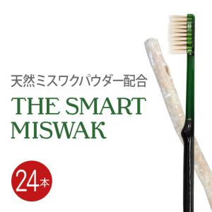 歯ブラシ The Smart Miswak 大人用 x 24本セット 歯垢 除去 歯みがき 歯磨き はぶらし 歯 ハブラシ 日本製 歯ブラシセット アウトドア プレゼント ギフト｜mizuha-oralcare