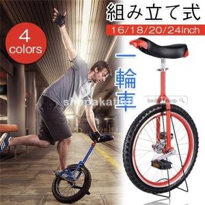 子ども用 一輪車 16/18/20/24インチ 空気入れ付き 組み立て式