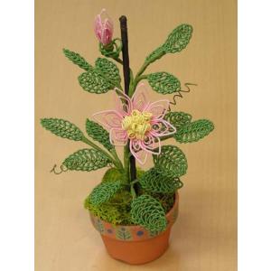水引アートショップ ヤフー店2 季節の花の水引アート 材料セット Yahoo ショッピング