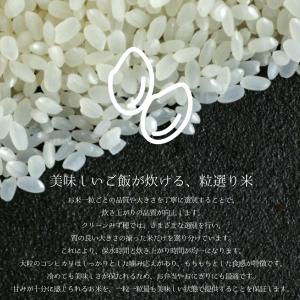 【新米予約】【農家直送・送料無料】8年産 新米...の詳細画像5