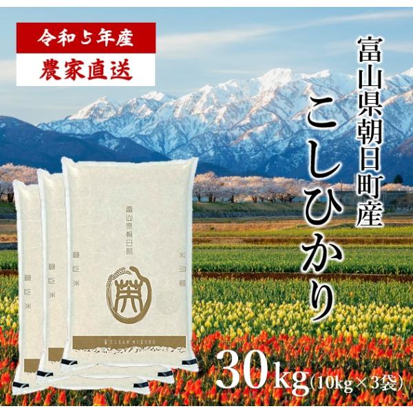 令和5年産  富山県朝日町産 こしひかり 30kg 白米 農家直送 送料無料
