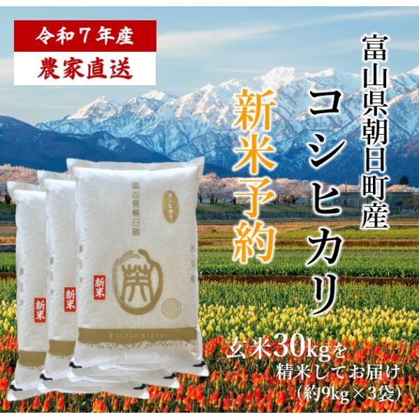 令和5年産  富山県朝日町産 こしひかり 30kg 白米 農家直送 送料無料