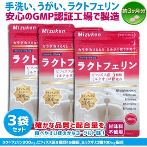 NISSIN ラクトフェリン 335g　93粒　31日分　２袋 日清食品 ラクトフェリン ナイスリムエッセンス NISSIN 日清