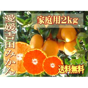 愛媛吉田みかん温州みかん家庭用S〜2L2kg　