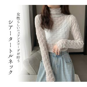 シースルー シアー カットソー レディース メ...の詳細画像1