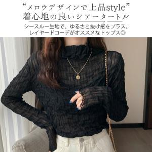 シースルー シアー カットソー レディース メ...の詳細画像2