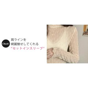シースルー シアー カットソー レディース メ...の詳細画像4
