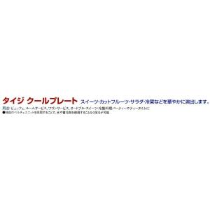 タイジ クールプレート(ドームカバー付)CP-...の詳細画像1