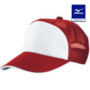 MIZUNO（ミズノ） 東京六大学野球 大学応援ピンズセット 慶応大学 野球