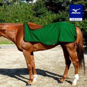 ミズノ公式 ブレスサーモ エクササイズラグ 乗馬用 2枚合せ グリーン×ブラウン｜mizuno-shop