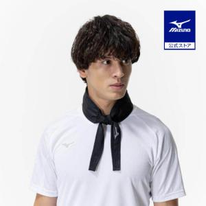 MIZUNO（ミズノ） ミズノ公式 軟式用/ソフトボール用審判員用マスク