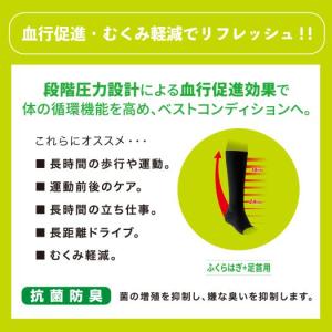 ミズノ公式 クラス1サポーターふくらはぎ+足首...の詳細画像1