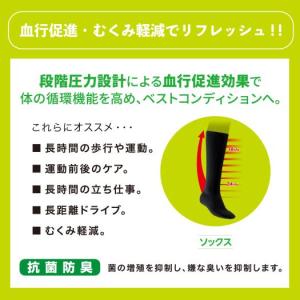 ミズノ公式 クラス1サポーターソックス 2枚入...の詳細画像1