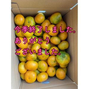 【条件付き送料無料】 水の子会の温州みかん (5kg)　　