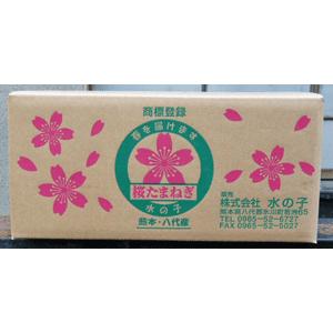 水の子会の桜たまねぎ【10kg】条件付き送料無...の詳細画像1