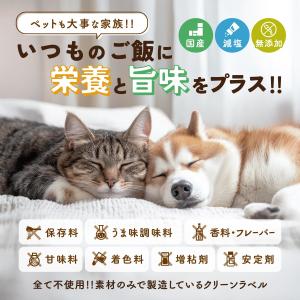 犬 猫 おだしパウダー 無添加 減塩 ペット用...の詳細画像1