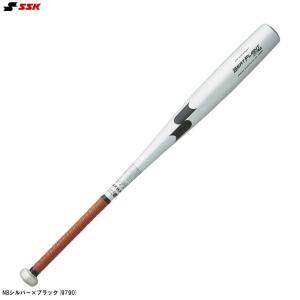 MIZUNO（ミズノ） 2024新基準対応 硬式 金属バット IxC 1.0 グローバル