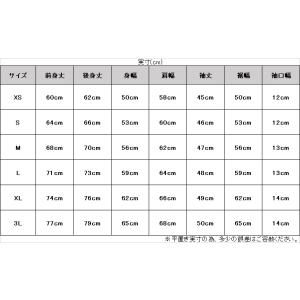 ◆メール便対応商品◆【XSのみ】Canterb...の詳細画像2