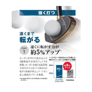 ハタチ 左打者用グラウンドゴルフクラブ パーシ...の詳細画像3