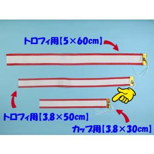 ペナント カップ用1本 3.8×30cmの詳細画像1