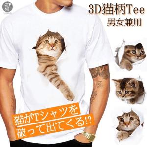 Tシャツ イラスト メンズ 3D 猫 茶トラ 可愛い 半袖 男女兼用 薄手 ねこ 白 レディース 面白 おもしろ トリックアート 送料無料｜ミズショウ