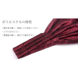 アスコットタイ スカーフ メンズ ビジネス 新...の詳細画像2