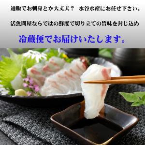 お造り お刺身短冊8種セット 5〜6人前 送料...の詳細画像2