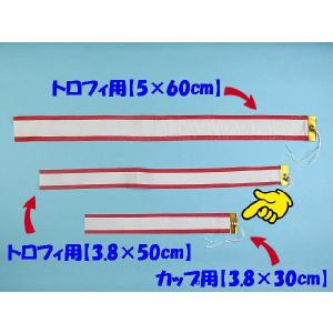 ペナント カップ用1本 3.8×30cmの商品画像