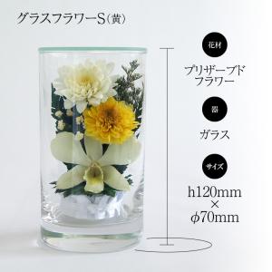【ギフト用】グラスフラワーS黄 プリザーブドフ...の詳細画像1