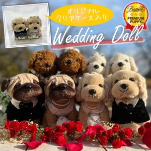 【クリアケース入り】子犬のウェディングドール 犬のぬいぐるみ 結婚祝い 電報 結婚式  トイプードル 新郎 新婦 プレミアムパピー 子犬のウェディングドール｜mizutomo