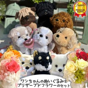 わんプチセット プリザーブドフラワー　ぬいぐるみ　犬 プリザ　花 ギフト 母の日 プレゼント 17cm 誕生日 女性 結婚祝い かわいい お祝い わんプチ セット