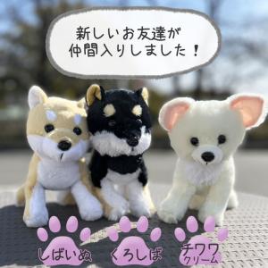わんプチセット プリザーブドフラワー ぬいぐる...の詳細画像3