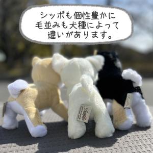 わんプチセット プリザーブドフラワー ぬいぐる...の詳細画像4