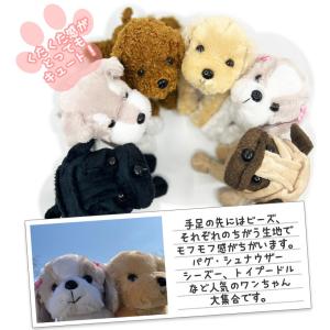 わんプチセット プリザーブドフラワー ぬいぐる...の詳細画像5